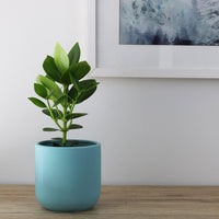 Alex Pot Blue - 13cm