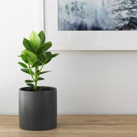 Kali Pot Charcoal - 14cm