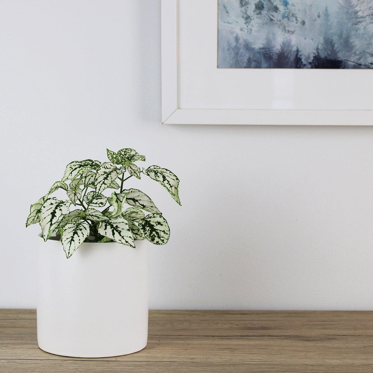 Kali Pot White - 14cm