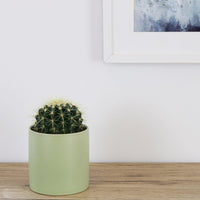 Kali Pot Green - 14cm
