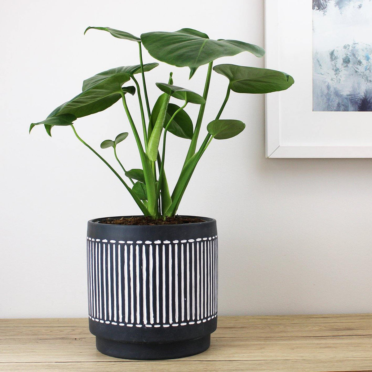 Sahara Pot Charcoal - 18cm
