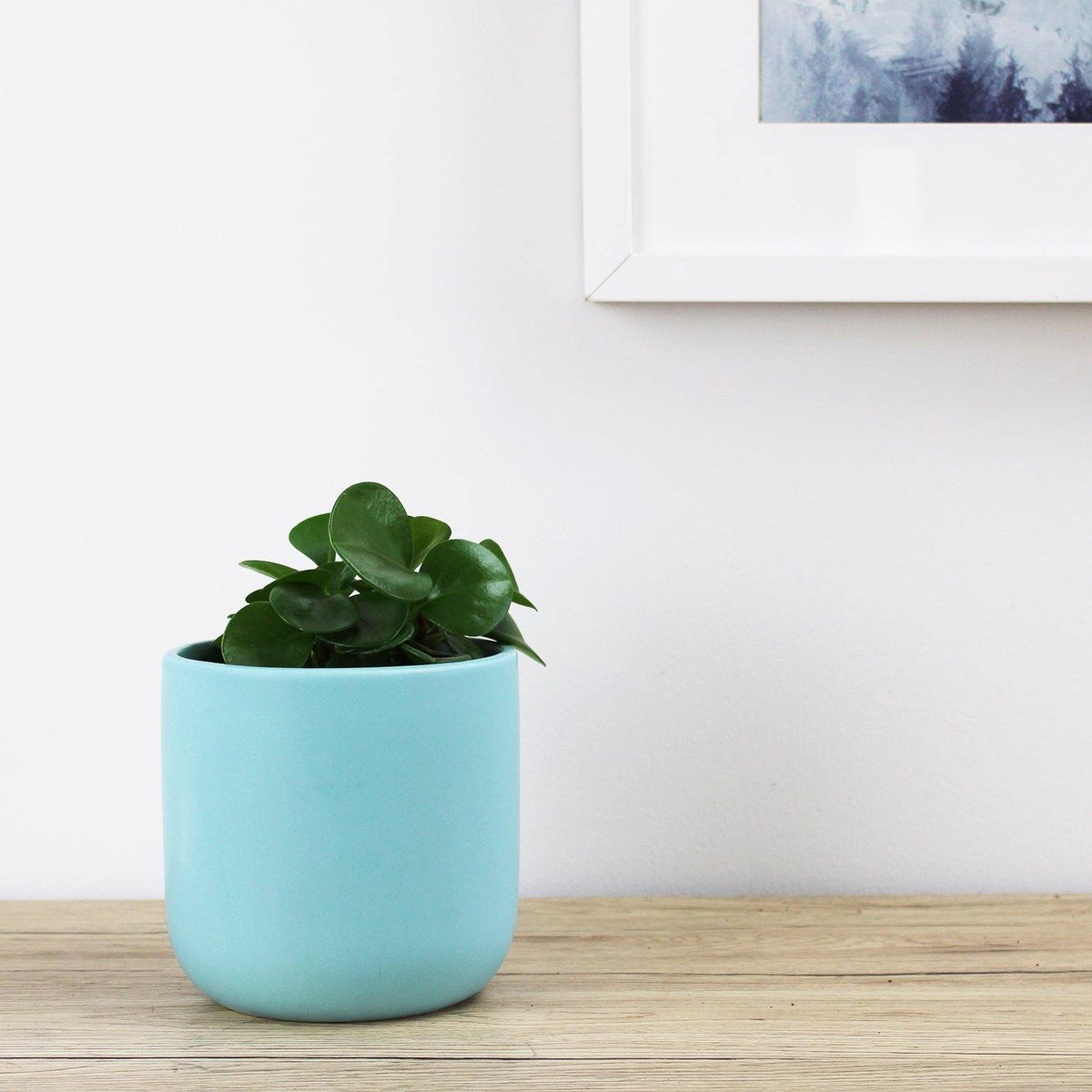 Alex Pot Blue - 13cm