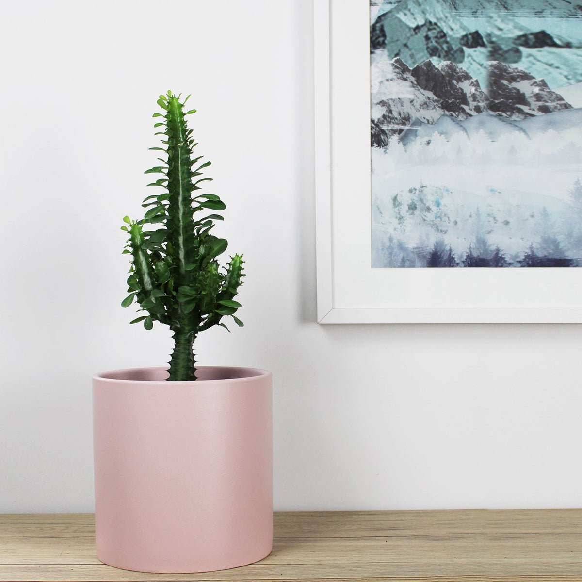 Kali Pot Pink - 21cm