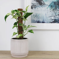Sahara Pot - 18cm