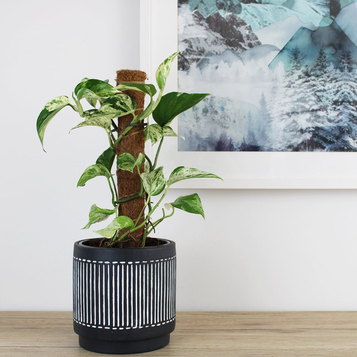 Sahara Pot Charcoal - 18cm