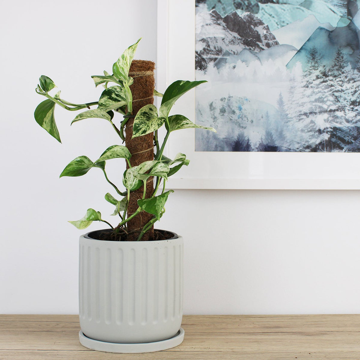 Asher Pot Grey - 18cm