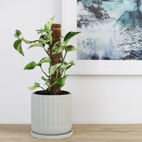 Asher Pot Grey - 18cm