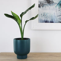 Aspen Pot Sea Green - 16cm