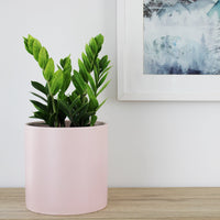 Kali Pot Pink - 21cm