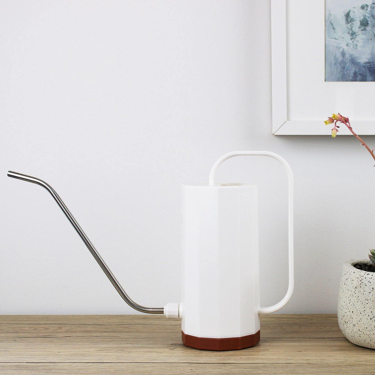 Plastic Watering Can