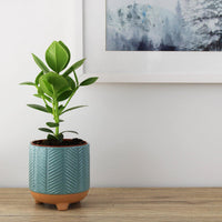 Ava Pot Turquoise - 13cm