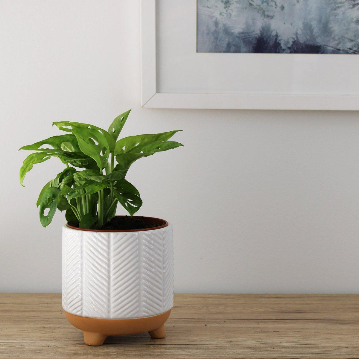 Monstera Monkey Mask - 12cm