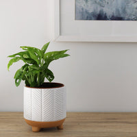Monstera Monkey Mask - 12cm
