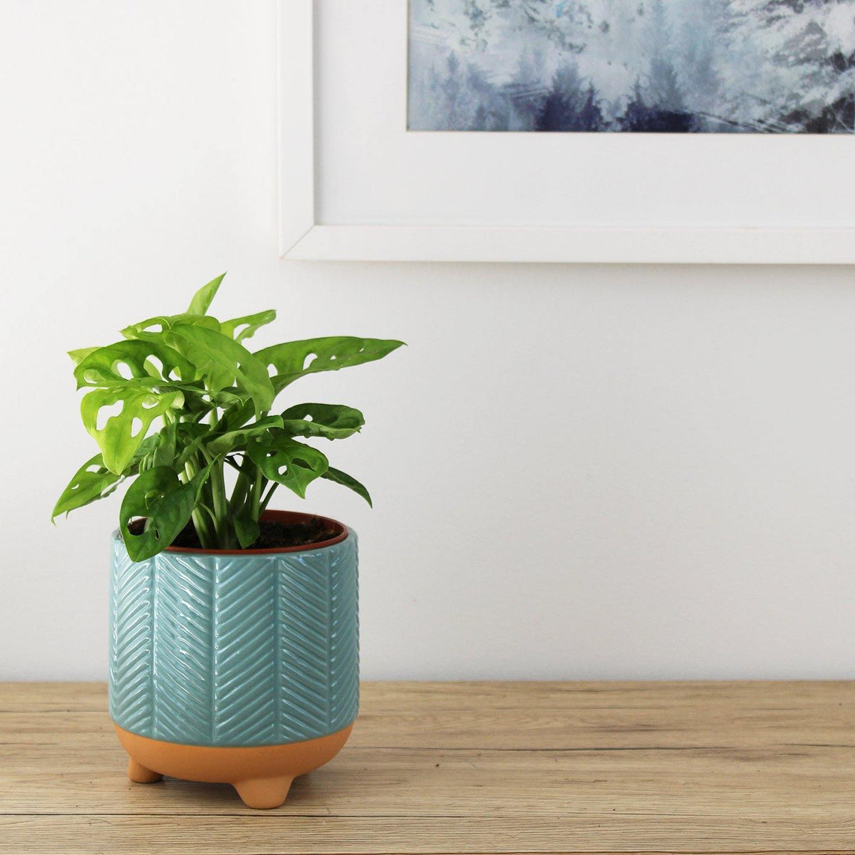 Ava Pot Turquoise - 13cm