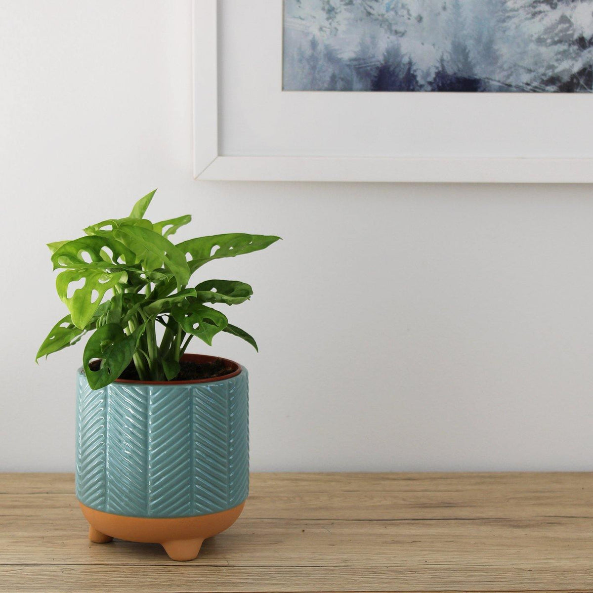 Monstera Monkey Mask - 12cm