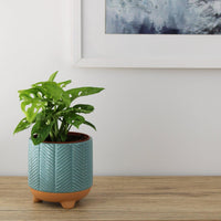 Monstera Monkey Mask - 12cm