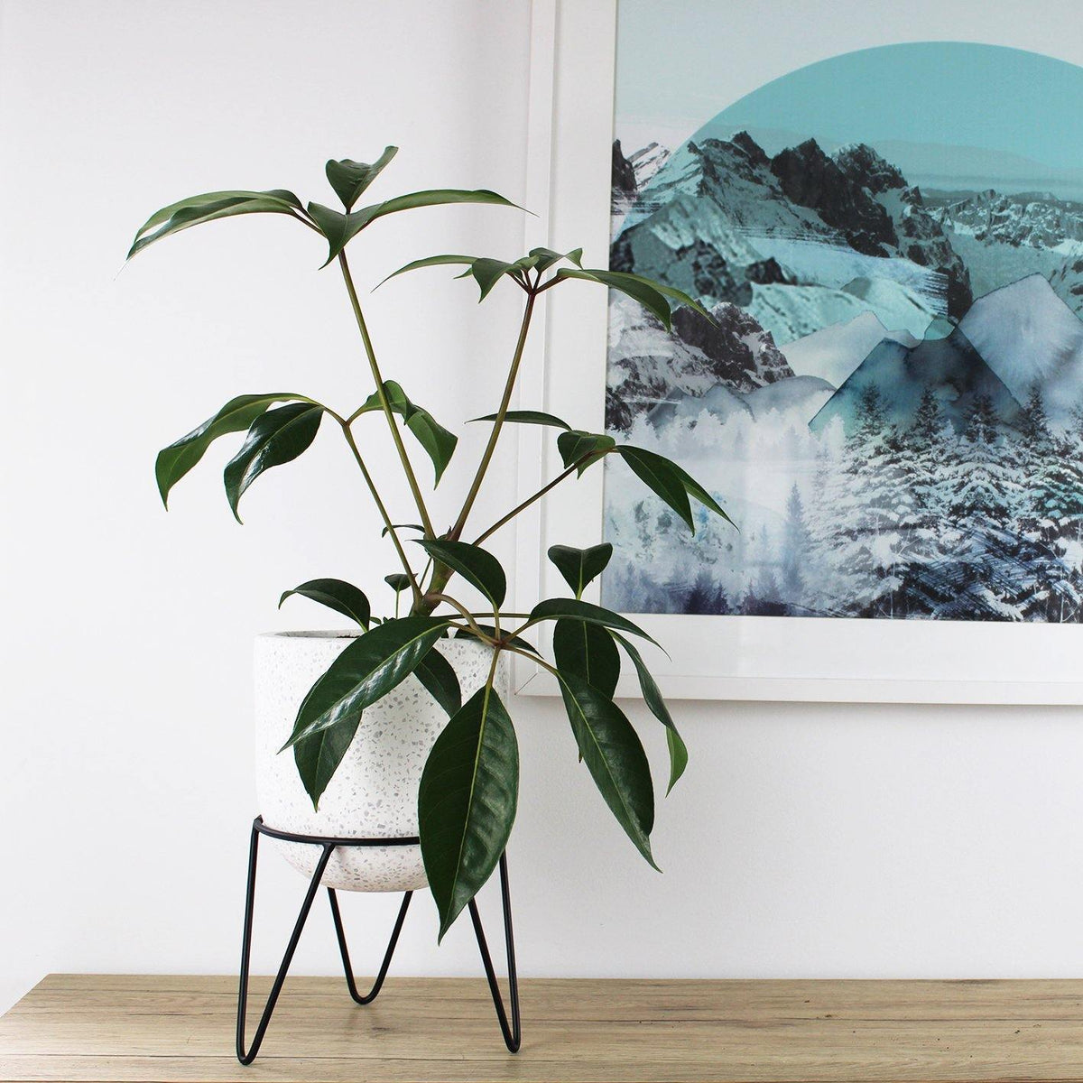 Terrzo Pot with Stand - 20cm