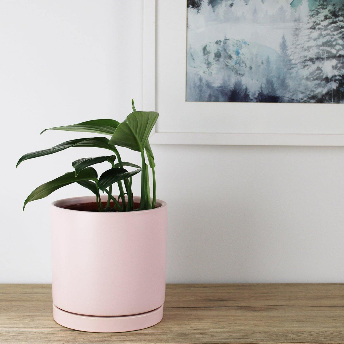Stella Pot Soft Pink - 18cm