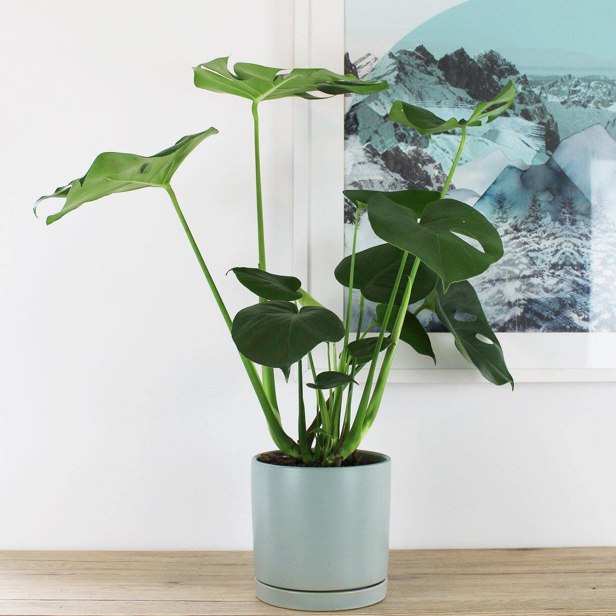 Stella Pot Sea Foam - 18cm