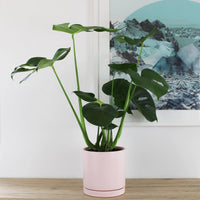 Stella Pot Soft Pink - 18cm