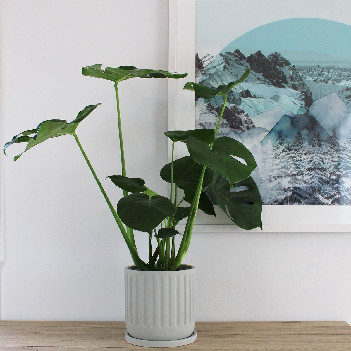 Asher Pot Grey - 18cm