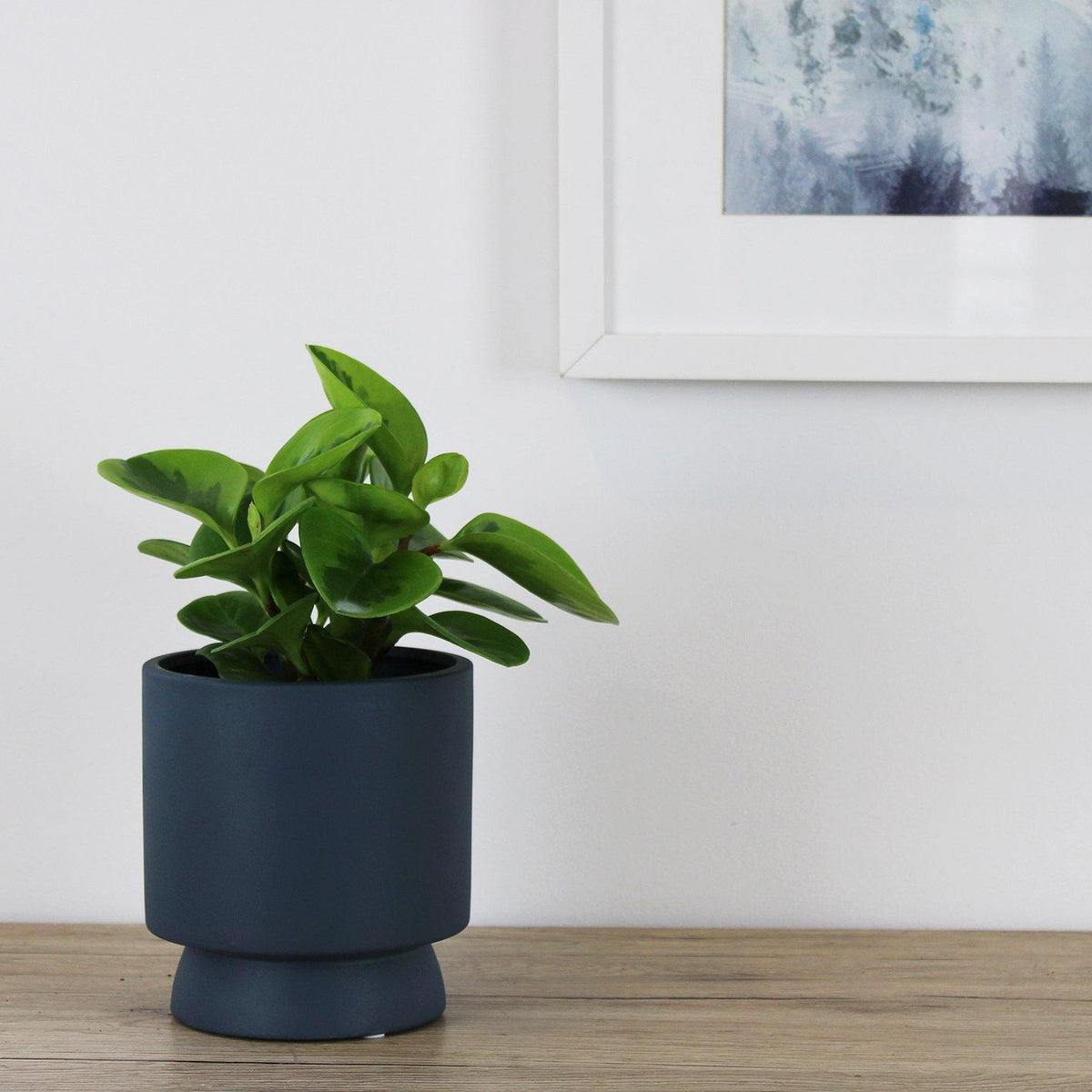 Arlo Pot Navy - 14cm