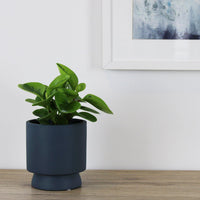 Arlo Pot Navy - 14cm