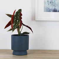 Arlo Pot Navy - 14cm