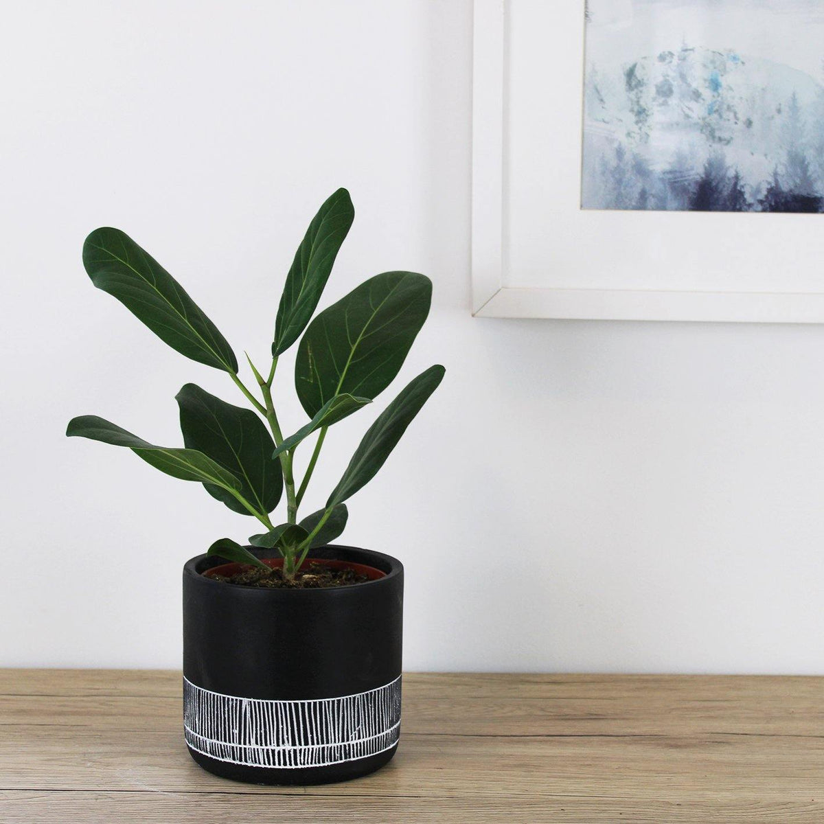 Imala Pot Black - 14cm