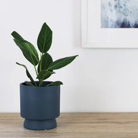 Arlo Pot Navy - 14cm