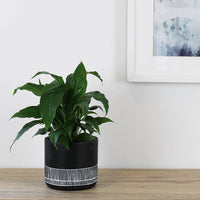 Imala Pot Black - 14cm