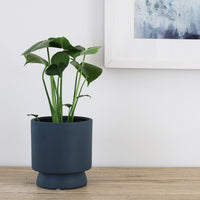 Arlo Pot Navy - 14cm